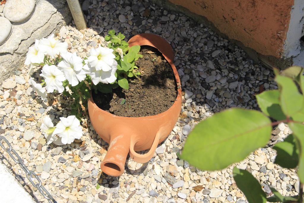 Apartmán Panorama Perama  Pokoj fotografie